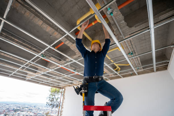 Best Best Plumbers Near Me  in Temperance, MI