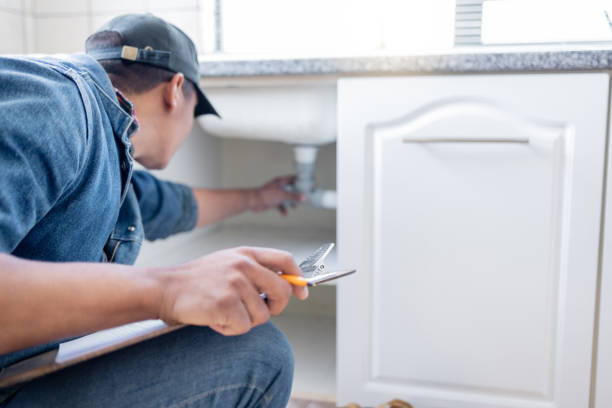 Best 24-Hour Plumber Near Me  in Temperance, MI