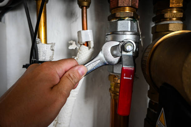 Best Same-Day Plumbing Service  in Temperance, MI